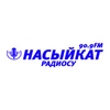 Насыйкат ФМ