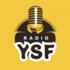 Radio YSF